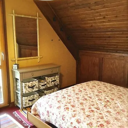 Grand Dans Au Pied Des Pistes 80m Du Telesiege Des Bouleaux