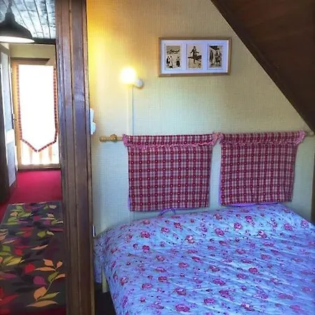 Dans Au Pied Des Pistes Apartment *