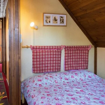 Grand Dans Au Pied Des Pistes 80m Du Telesiege Des Bouleaux 公寓 *